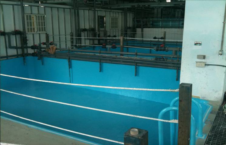 vs-EPOXY 