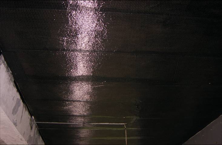 tsqֺEPOXYcɱj